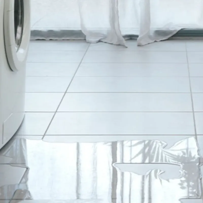 Appliance Leak Cleanup in Ottawa County, MI