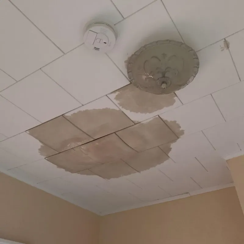 Ceiling Water Damage Repair in Ottawa County, MI