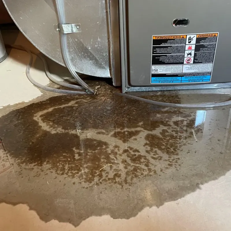 Pipe Burst and Leak Restoration in Ottawa County, MI