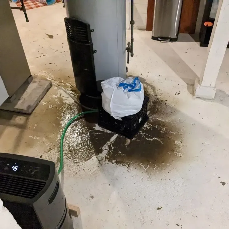 Sewage Backup Cleanup Service in Ottawa County, MI
